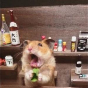 Meet your Posher, Ash